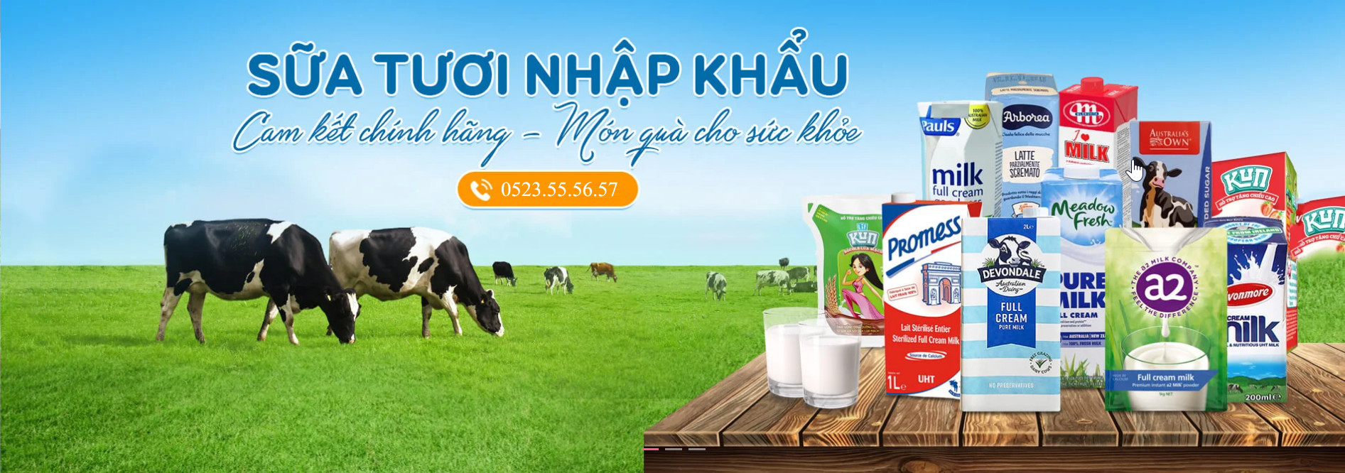 phân phối sữa nhập khẩu